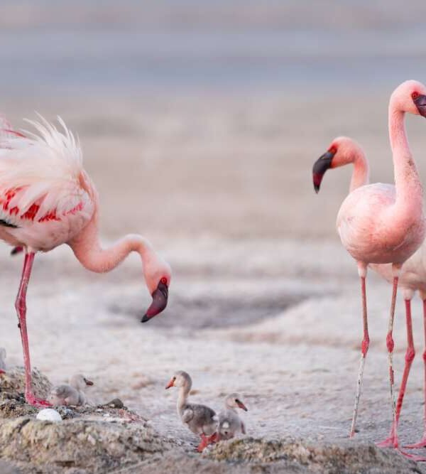 Trips in nakuru city Kenya